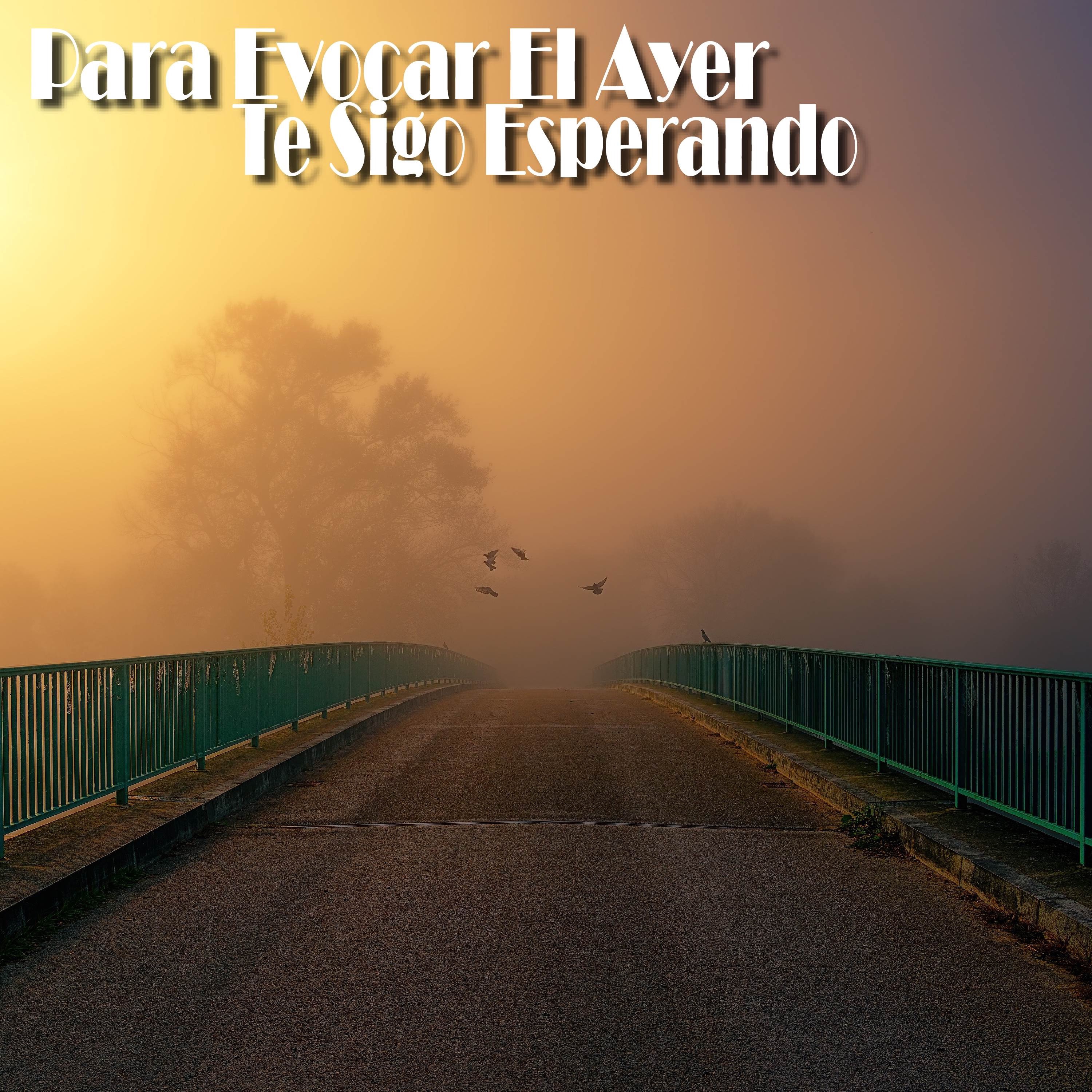 Para Evocar El Ayer/Te Sigo Esperando