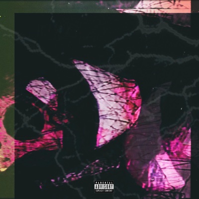 2 Goats (feat. Marant Hill) - Single