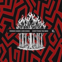 Everything You Need (& Jem Cooke)