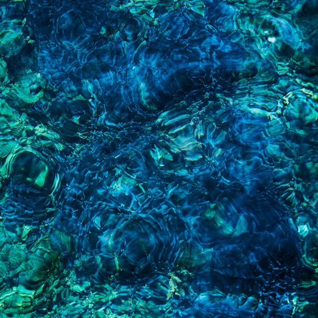 Windswept Adan - 青葉市子のアルバム - Apple Music