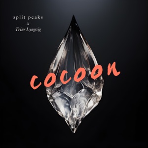 Cocoon (feat. Trine Lyngvig)