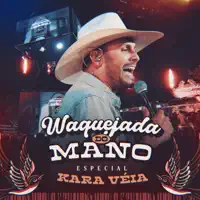 Foi Você — Mano Walter