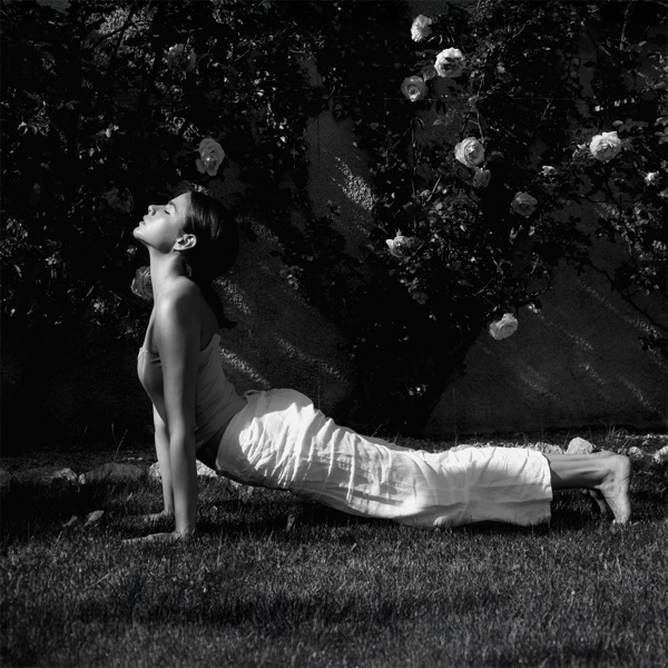 Embracing the Cosmic Flow, Yoga