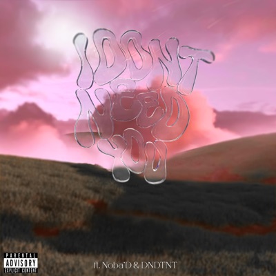 I Don't Need You (feat. DNDTNT & NoBa’D) - Single
