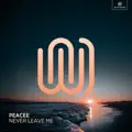 Never Leave Me