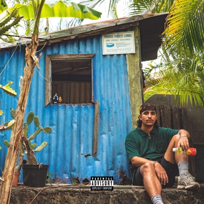 chidori - Single