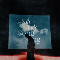 Nỗi Nhớ Song Song (feat. ViAM) - Single - NAM
