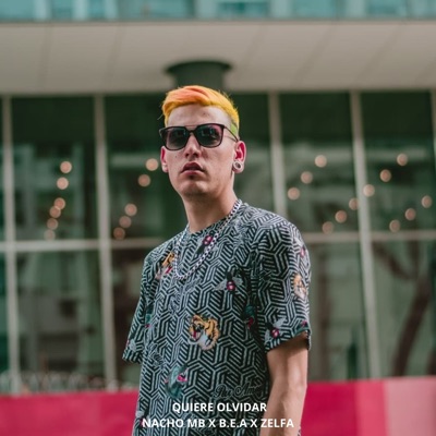 Quiere Olvidar - Single