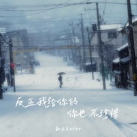 反正我给你的你也不珍惜 - Single - 凯乐Kailer
