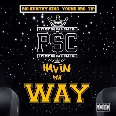 Havin' My Way - Single