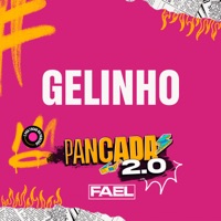 Gelinho (Pancada 2.0) - Single - Fael
