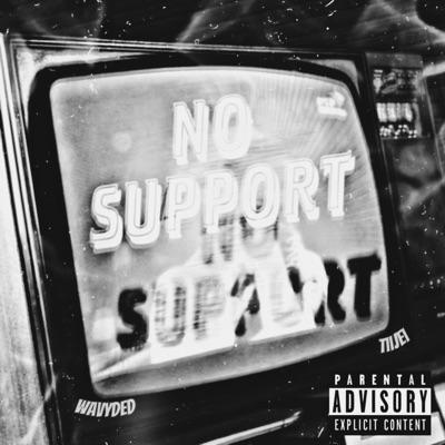 No Support (feat. TiiJEi) - Single