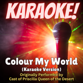 Colour My World (Karaoke Version Originally Performed by the Cast of Priscilla Queen of the Desert)