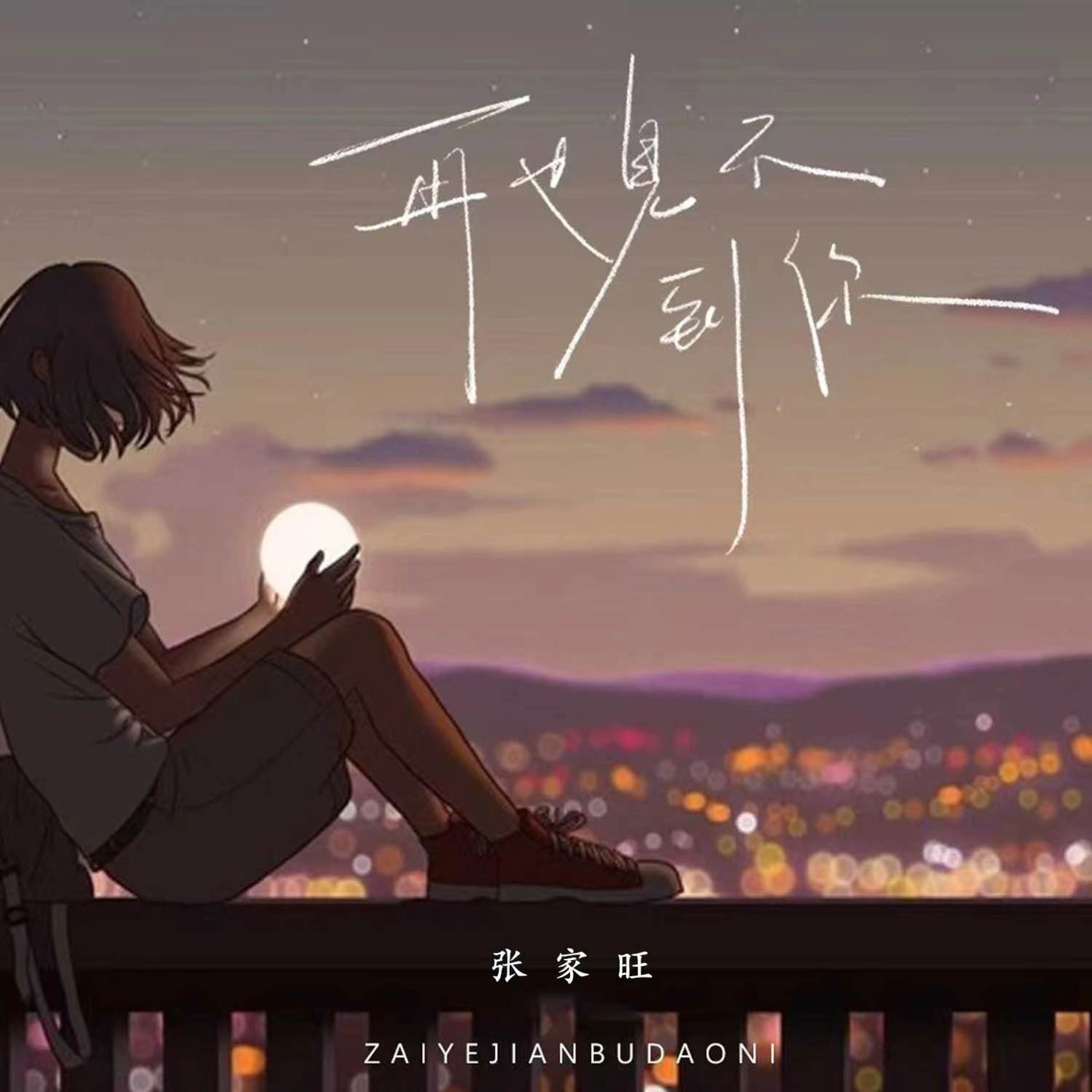 再也没见过你 - Single