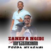 Funda Mtanami (feat. Imfezemnyama) artwork