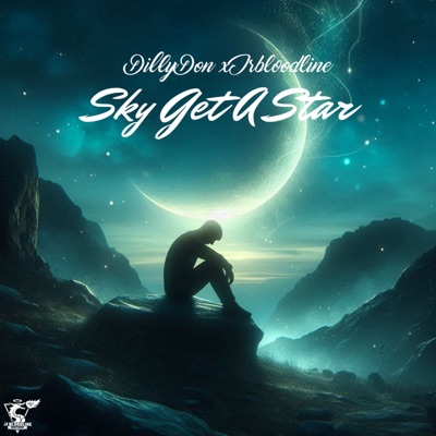 Sky Get a Star - Single