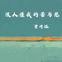 没人懂我的苦与悲 - Single - 曾诗涵