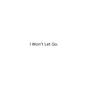 I Won't Let Go