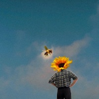 Rambo (feat. Marksman Lloyd) - Single - Quiet Frankie