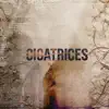 Cicatrices