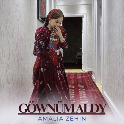 Göwnüm Aldy - Single