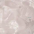 Snow Drop