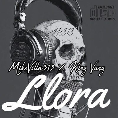 LLORA (feat. King Vang) - Single