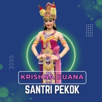Santri Pekok (feat. Shintya) - Single - KRISHNA BUANA