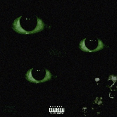 9960 (feat. Fuck6ixty) - Single