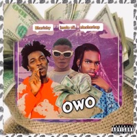 OWO (feat. King Eleshorhap & IMOLE ELI) - Single - Bharichy