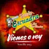 Vienes o Voy