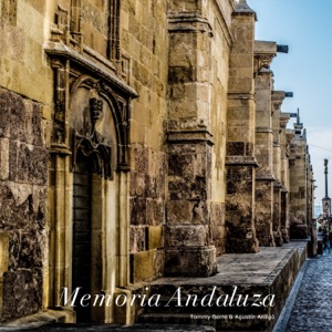 Memoria Andaluza - Single