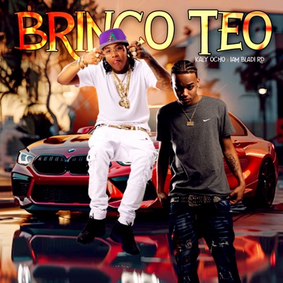 Brinco Teo - Single