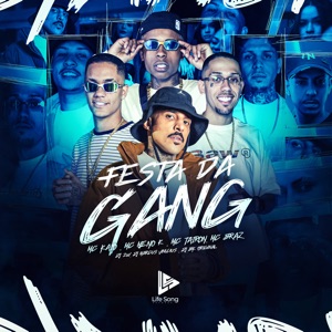 Festa da Gang (feat. MC Braz, DJ 2w, DJ Marcus Vinicius, Dj Bk Original & life song)