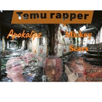 Temu rapper's (feat. Mikey Scars) - Single - ApokalipZ
