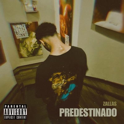 Pred&stinado (Dutrazin Remix) - Single