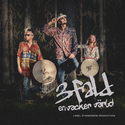 en vacker värld - Single