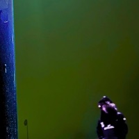 LIFE GOES BY (YOU'VE GOTTA KEEP UP) - Single - Cuileann