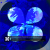 Rosebay Music Presents: Fluxpoint, Vol. 1 - EP - Submorphics