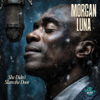 She Didn’t Slam the Door - Single - Morgan Luna