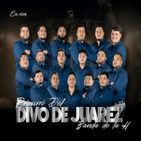 Popurrí Del Divo De Juarez (Se Me Olvido Otra Vez / Quédate Esta Noche / Costumbres / Buenos Días Señor Sol) - EP - Banda de la H