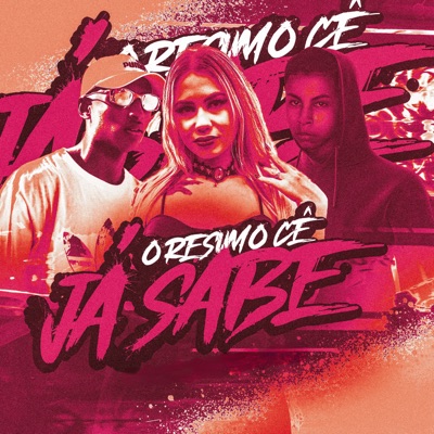 O RESUMO CÊ JA SABE (feat. Mc Erikah) - Single