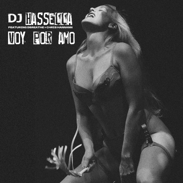 Voy Por Amo - Single