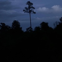 Lawless insomnia - Single - Ruski 223