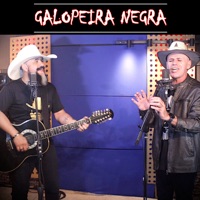 Galopeira Negra (feat. Donizeti Camargo) - Single - J. O. Rocha