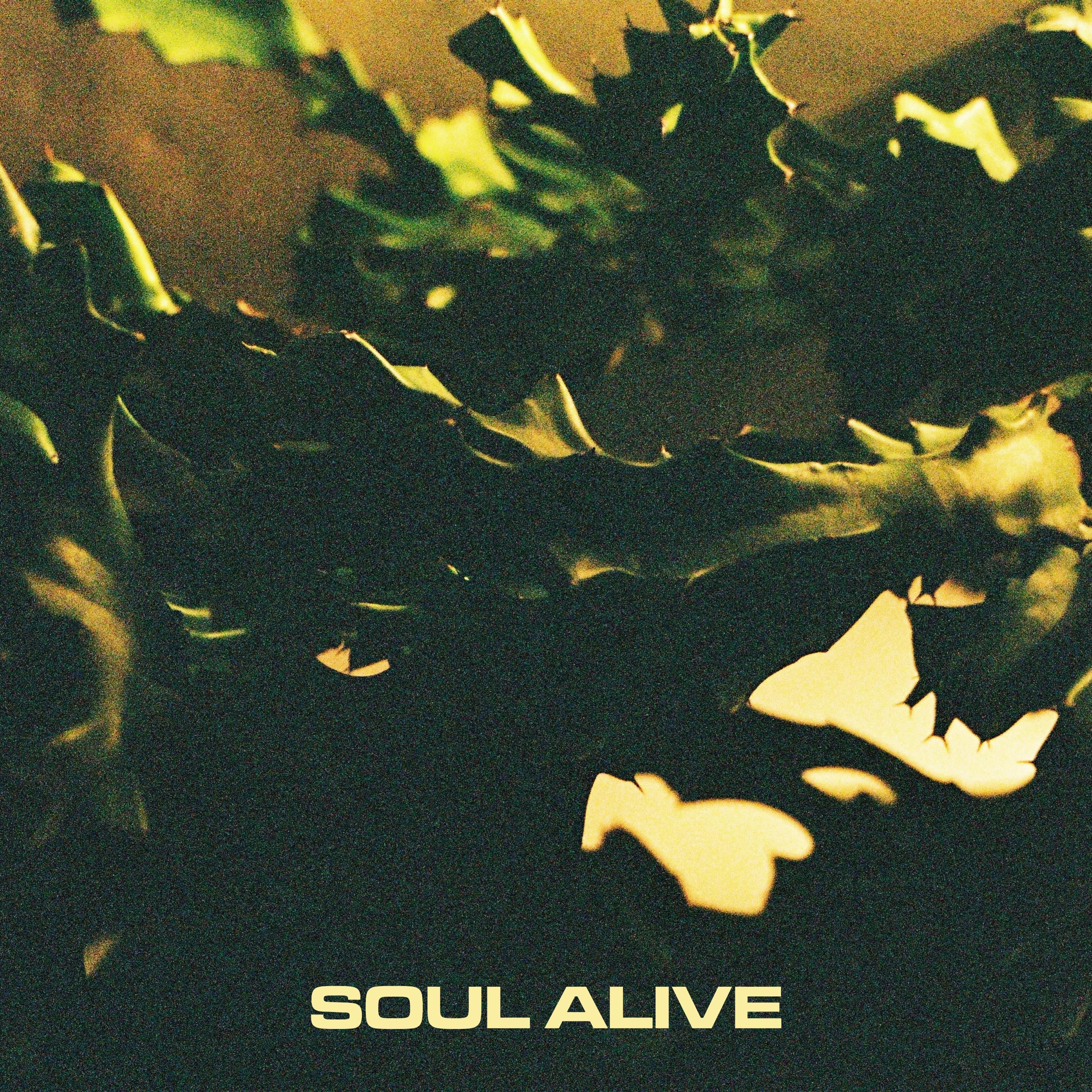 Soul Alive - Single