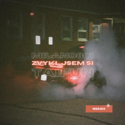 Zvykl jsem si (Remix) - Single