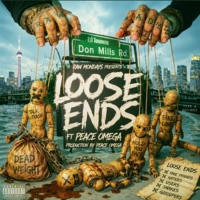 Loose Ends (feat. Peace Omega) - Single - Rawty Raw