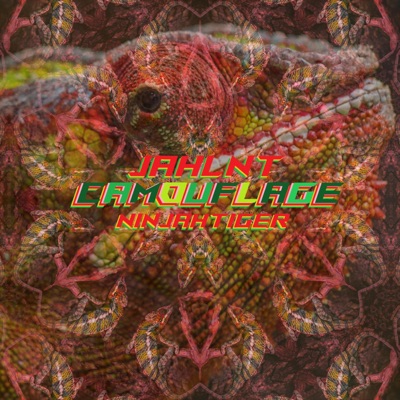Camouflage - Single