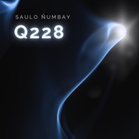 Q228 - EP - Saulo Ñumbay